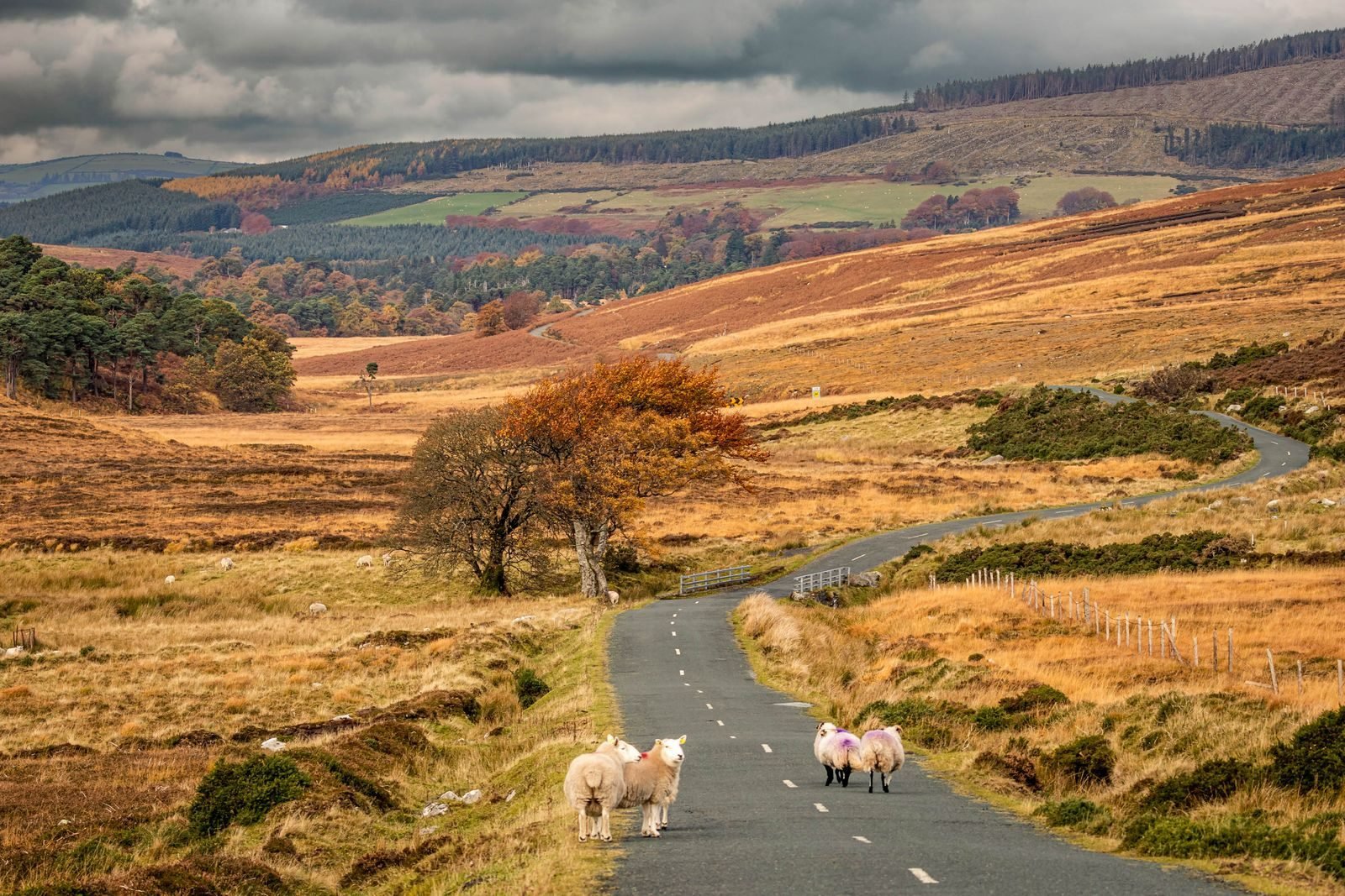 7 Euro Fall Escapes for 2026: Your Step-by-Step Guide to an Unforgettable Autumn Adventure